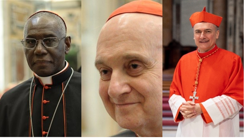 Cardinal Sarah, Cardinal Comastri, Cardinal Gambetti