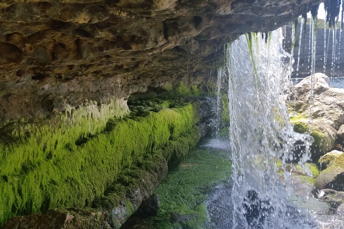 Día Agua REPAM Papa