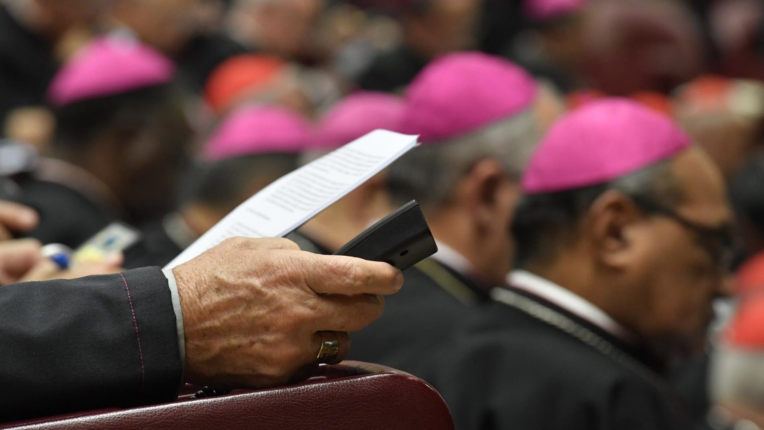 Synod in Rome on Synodality Postponed to 2023 Exaudi