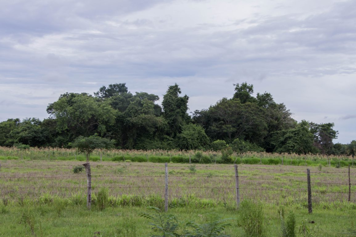 Paraguay Pastoral Estatuto Agrario