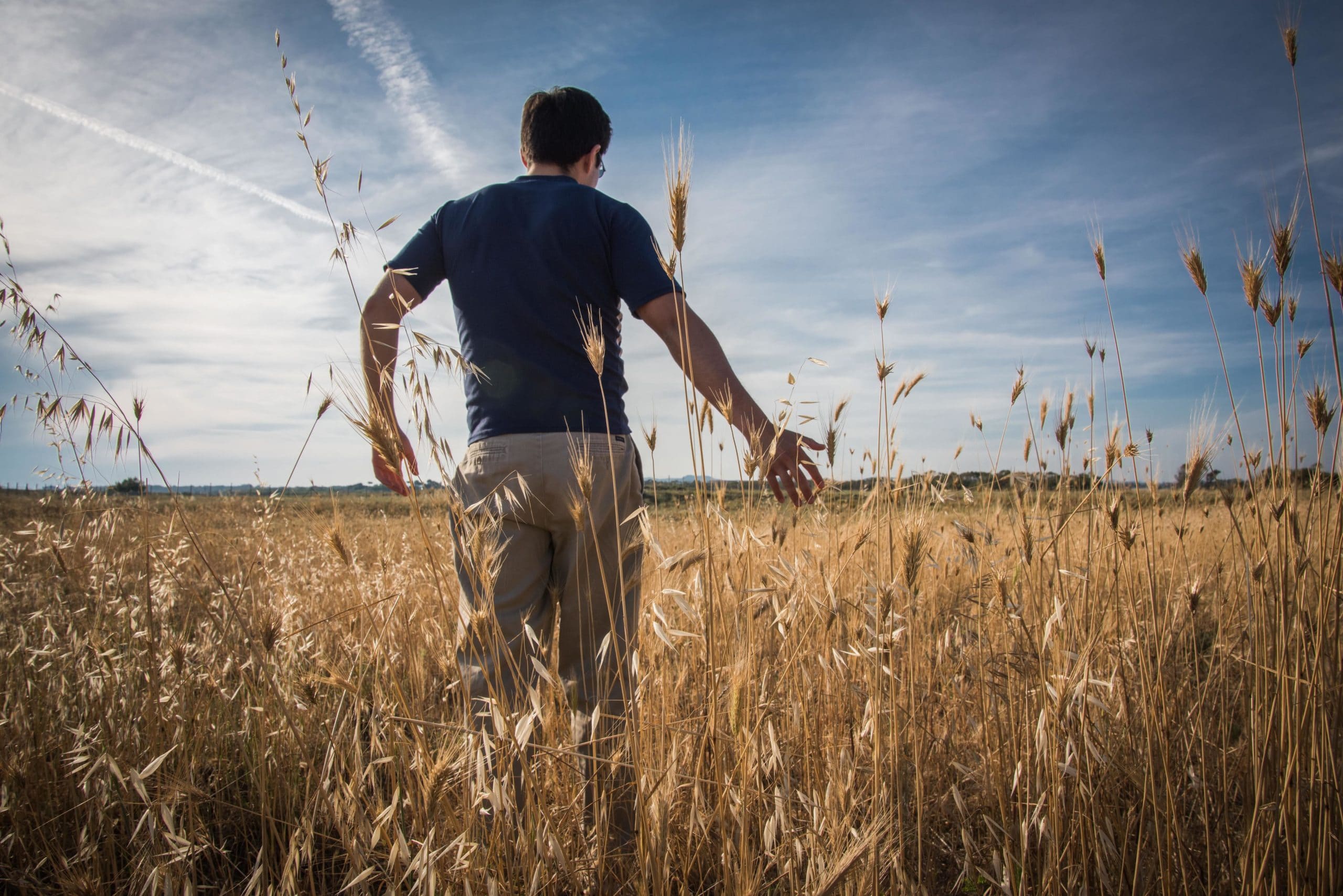 Ecología Hoy Exaudi