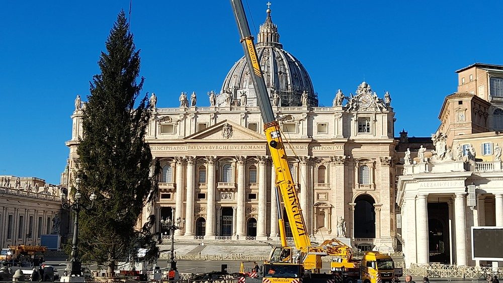 Saint Peter's Square Christmas