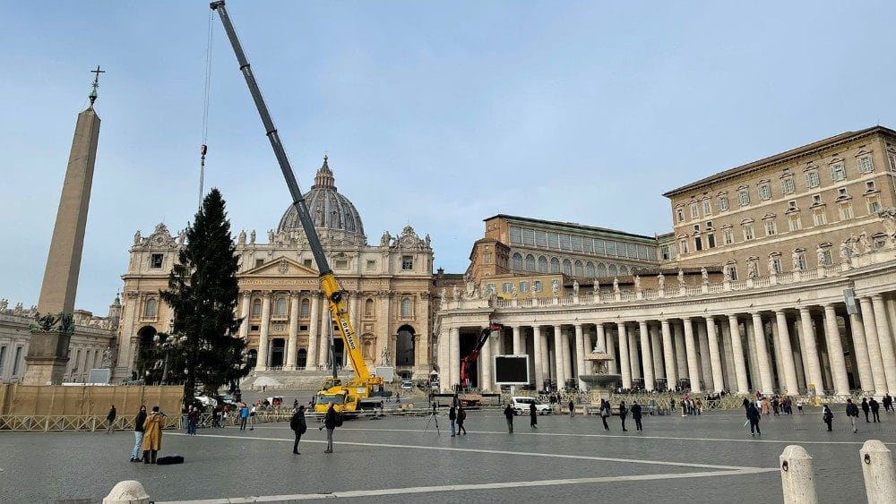 Nativity Scene and Christmas Tree