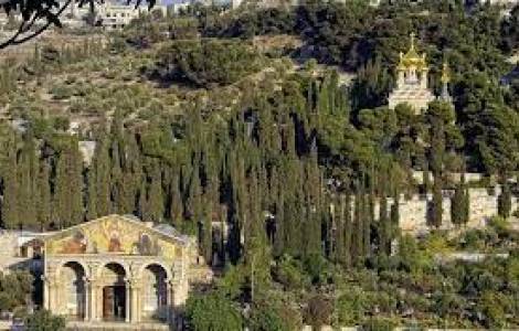 Mount of Olives