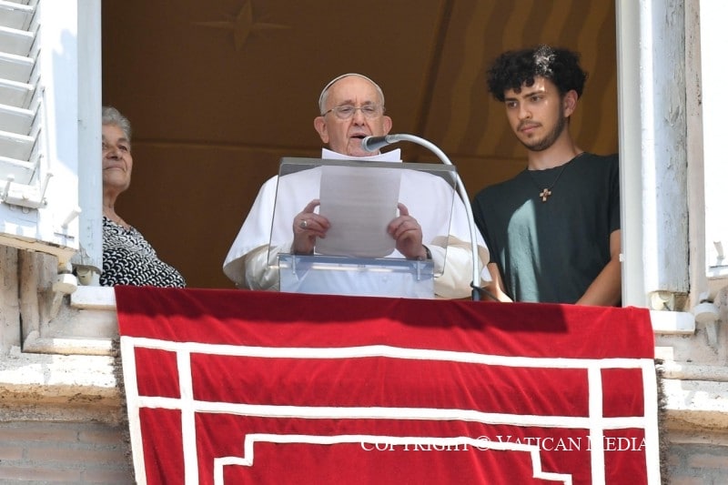 El Papa: Buscar ante todo la obra de Dios y aprender a ver, la belleza de lo que el Señor ha sembrado