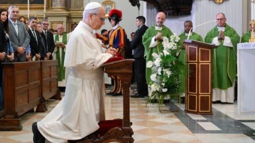 El Papa: Jesús es el buen samaritano que vino a nuestro encuentro