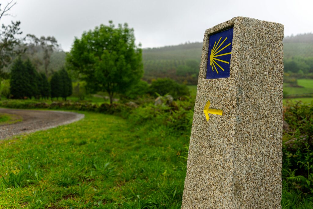 Ultreia et Suseia: Onward and upward!